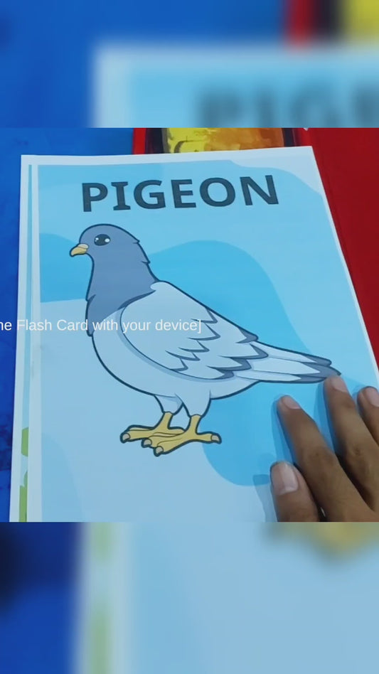 Preschoolify AR Flash Cards Classroom Edition - 137 designs for teachers and preschools