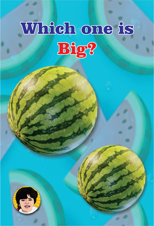 3D Augmented Reality "Watermelon" Big or Small Flash card