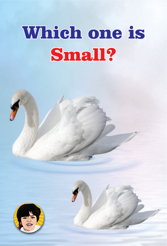 3D Augmented Reality "Swan" Big or Small Flash card