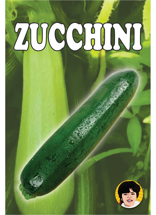 3D Augmented Reality "Zucchini" Fruits & Veg. Flash card